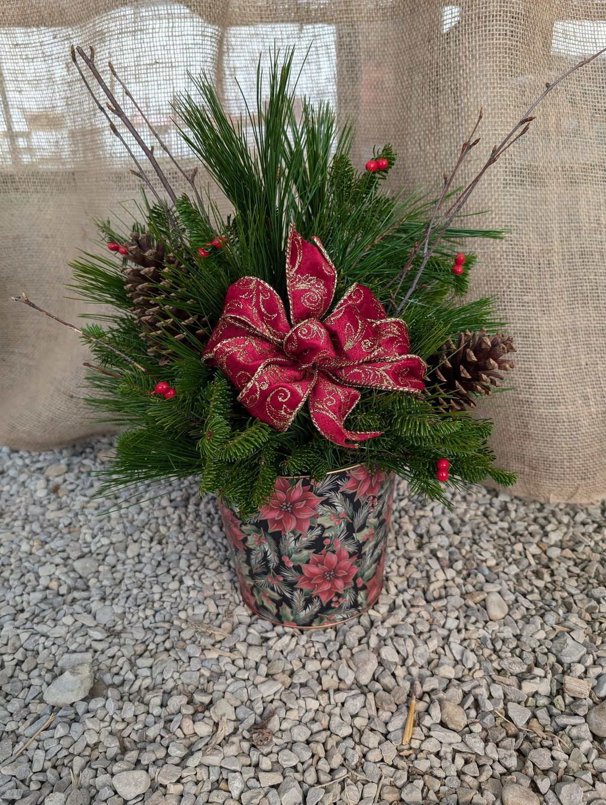 Fresh Greens Vintage Poinsettia Centerpiece 