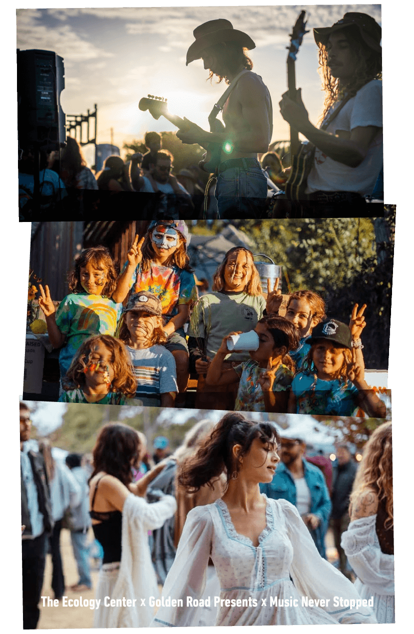 Grateful Shred at Capitol Theatre Port Chester