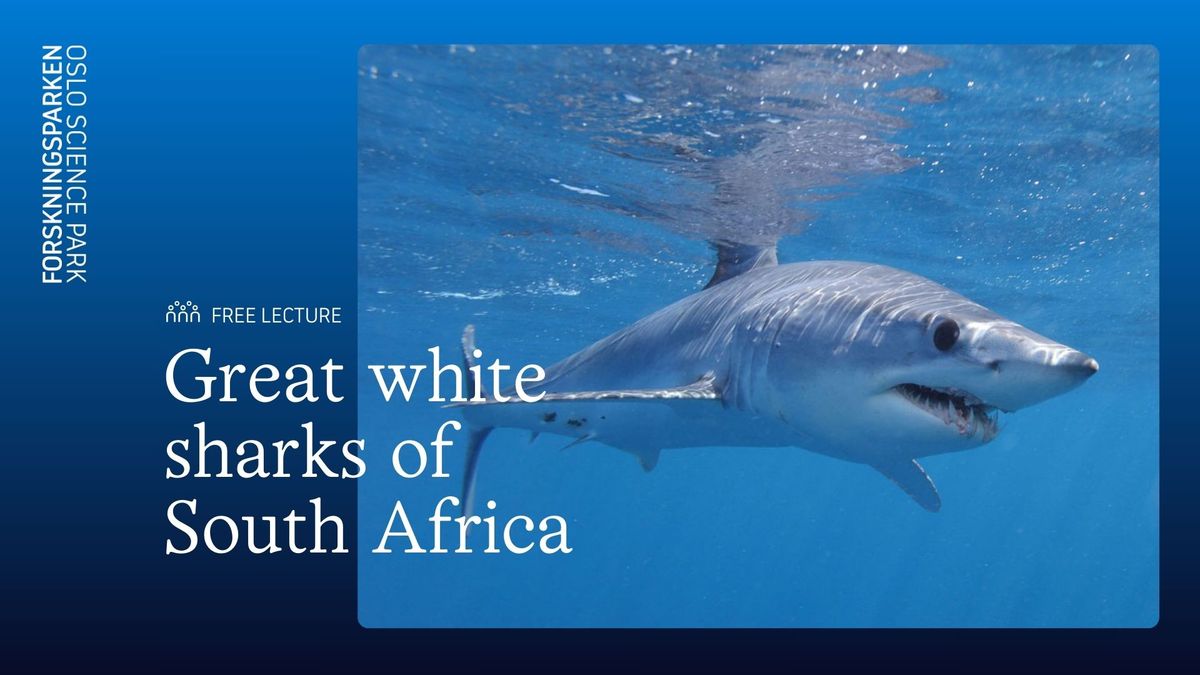 Alessandro De Maddalena: Great white sharks of South Africa