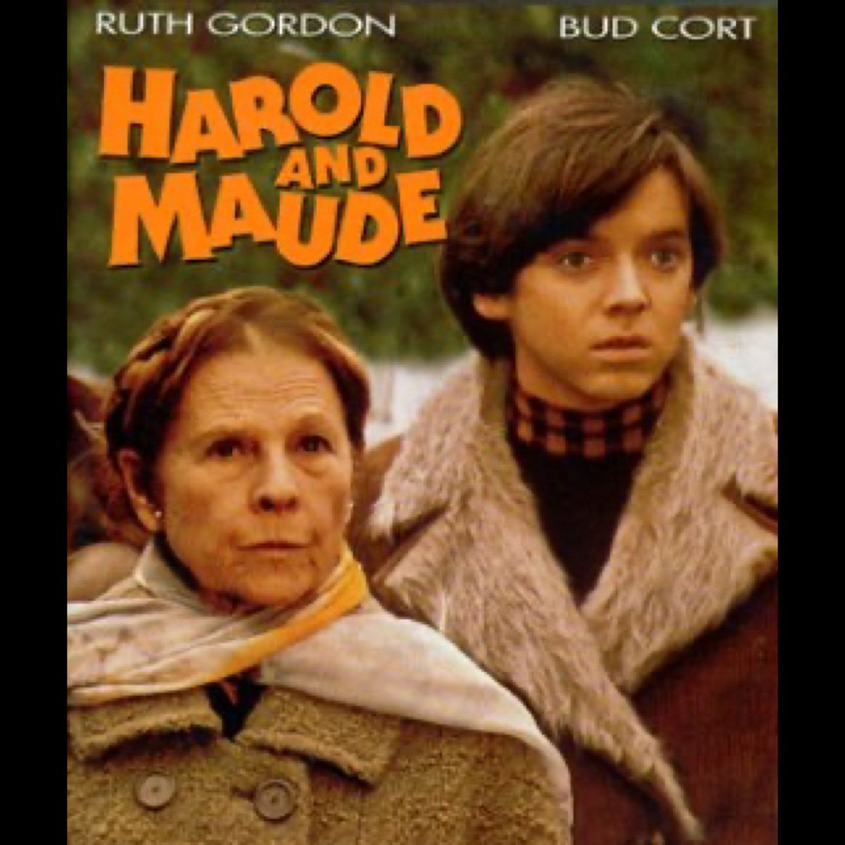 Harold And Maude
