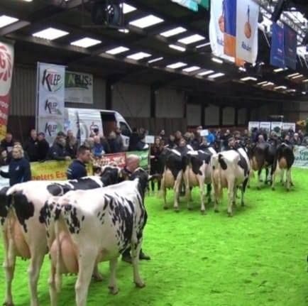 21 maart 2025 Wintershow West Brabant 