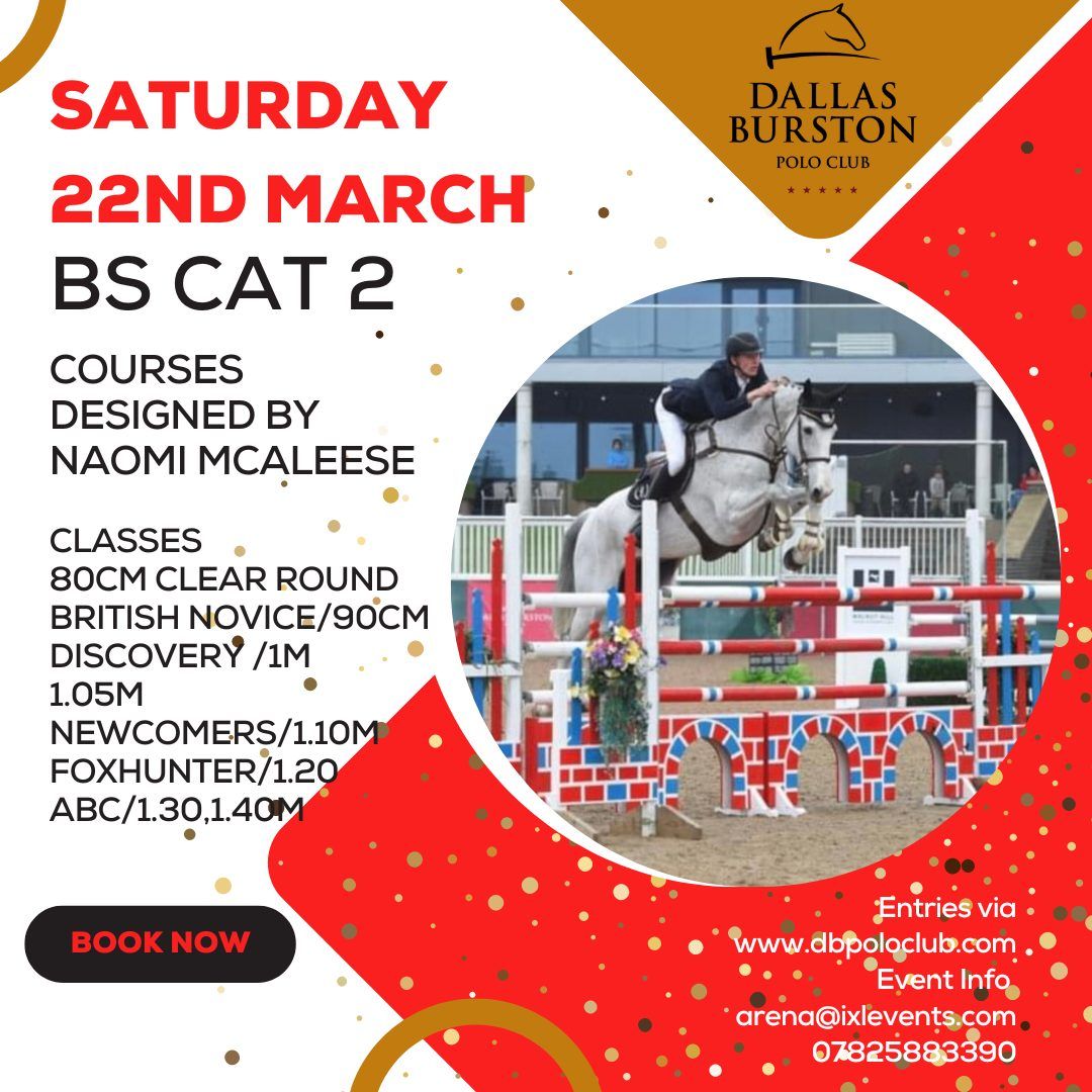 British Show Jumping Cat 2 