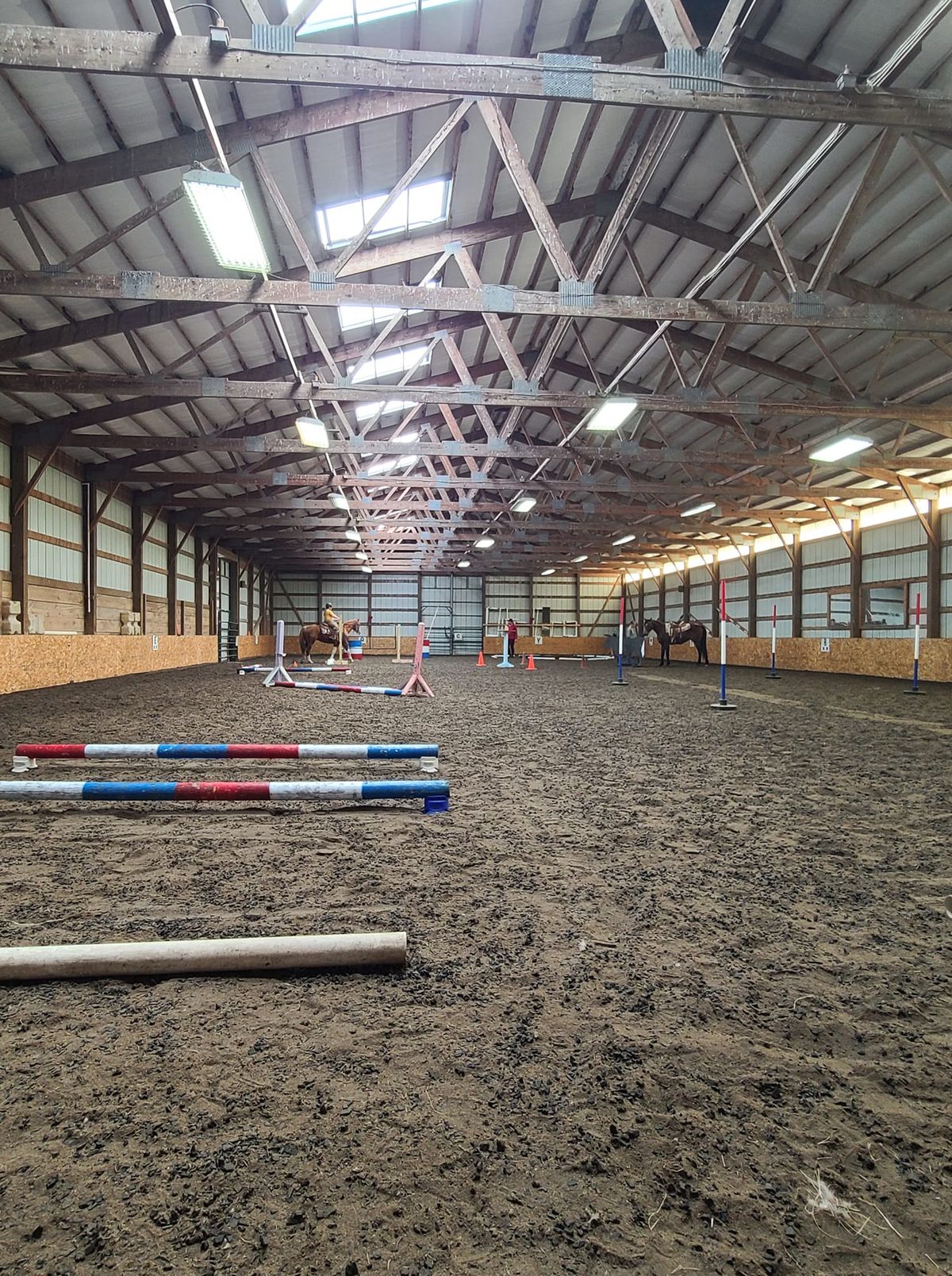 Working Equitation  Show