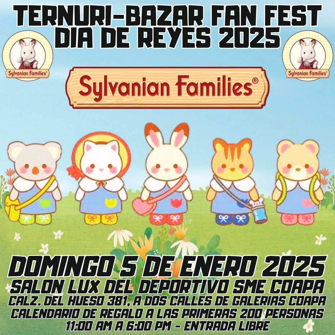 Ternuri-Bazar Fan Fest Dia de Reyes 2025