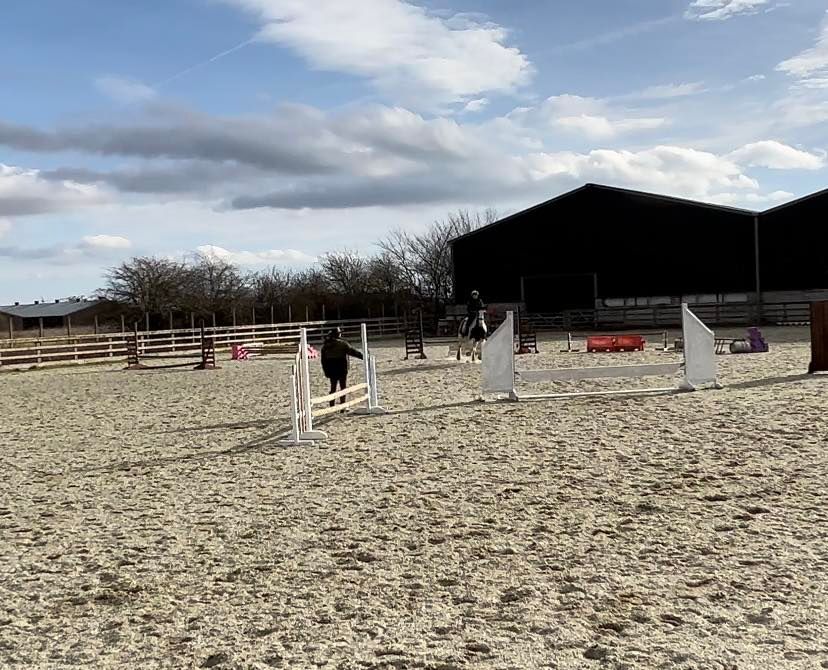 SJ & XC Jumping clinic - Foxthorpe Farm Equestrian with Performance Coach BHSI Tracy Rivett