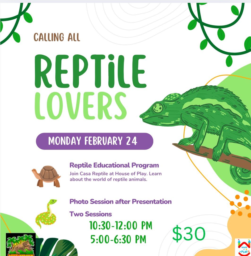 Geckos, Boas, and Turtles Oh My!