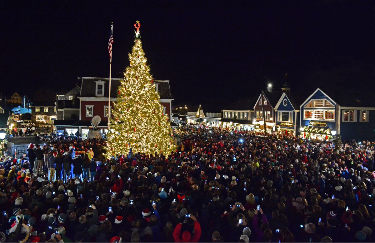 Tree Lighting Ceremony in Dock Square