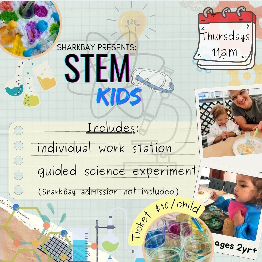 STEM Kids Thursdays at SharkBay