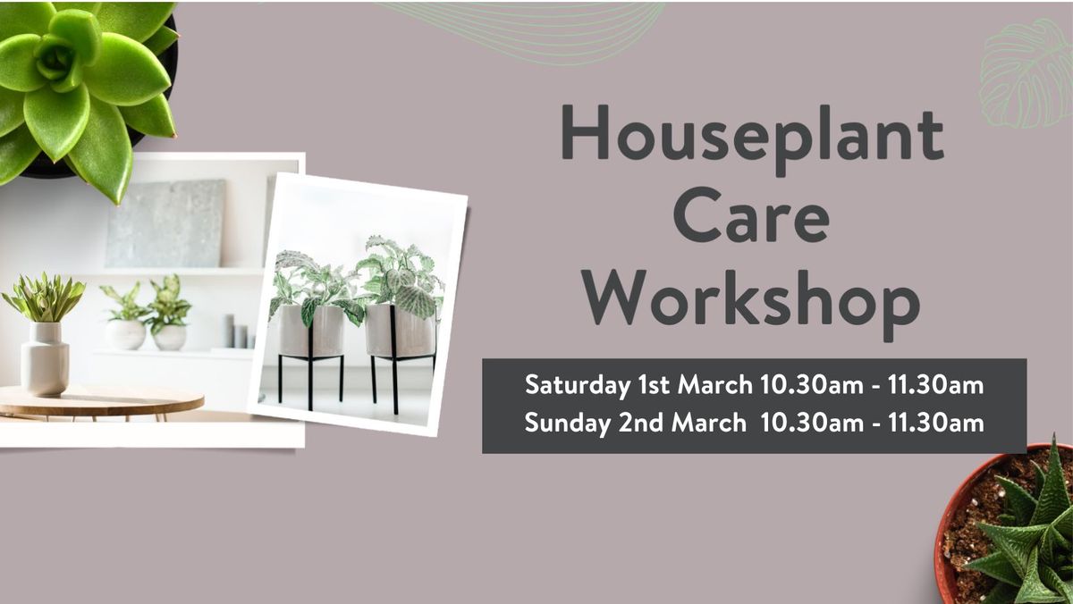 HOUSEPLANT CARE WORKSHOP