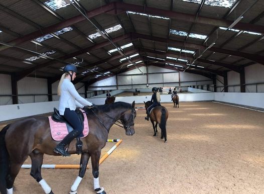 FOXES Lateral work clinic using poles - with Anna Davey, Foxes is now a ...
