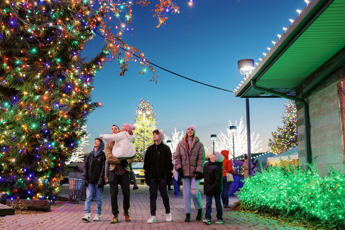 Tulalip Lights & Ice