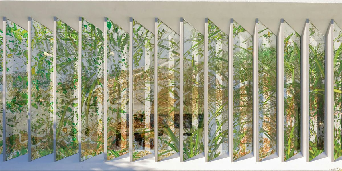 Instala\u00e7\u00e3o FERALUZ, de Leandro Lima