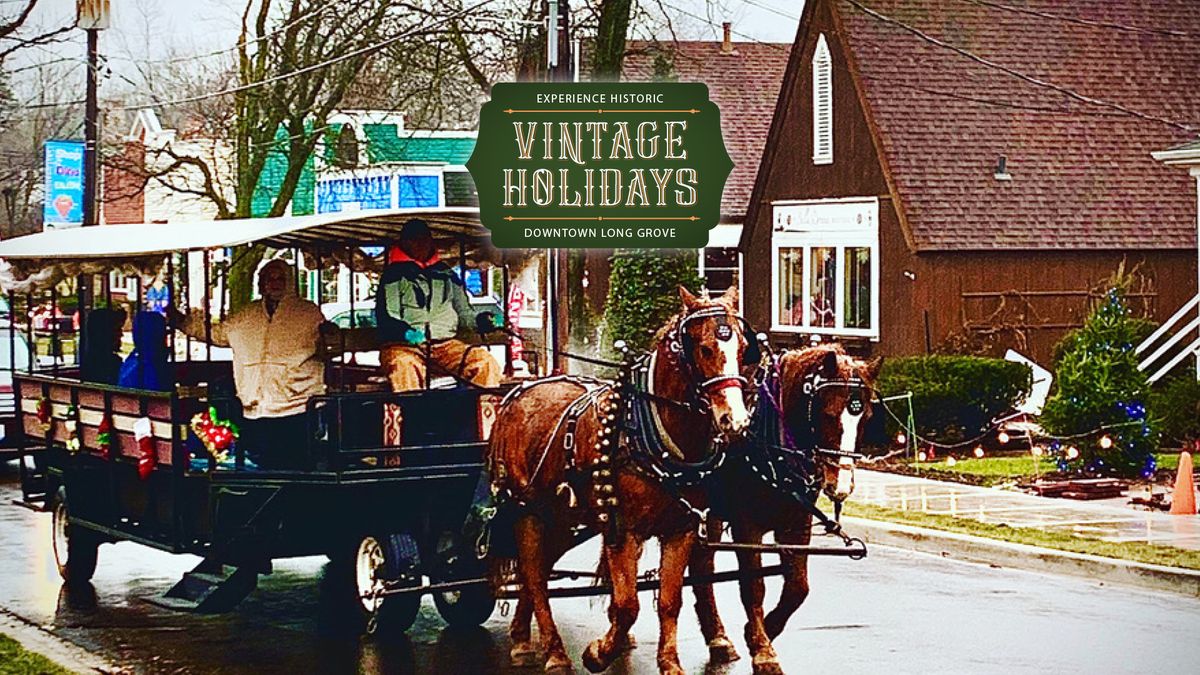 Horse Drawn Carriage Rides