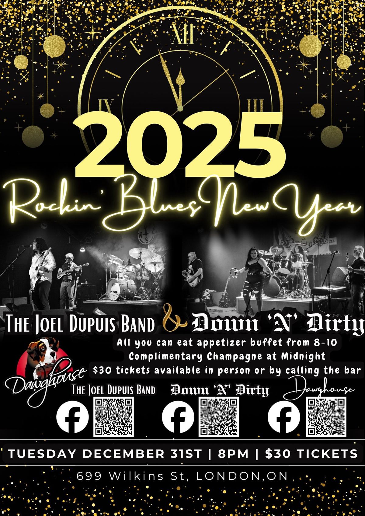 Rockin\u2019 Blues NYE W\/ Down \u2018N\u2019 Dirty & The Joel Dupuis Band At The Dawghouse