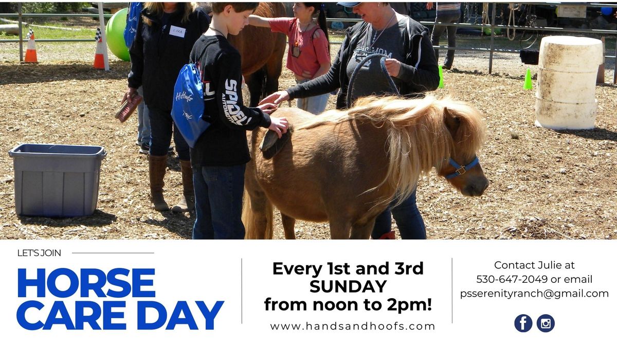 Hands and Hoofs Horse Care Day