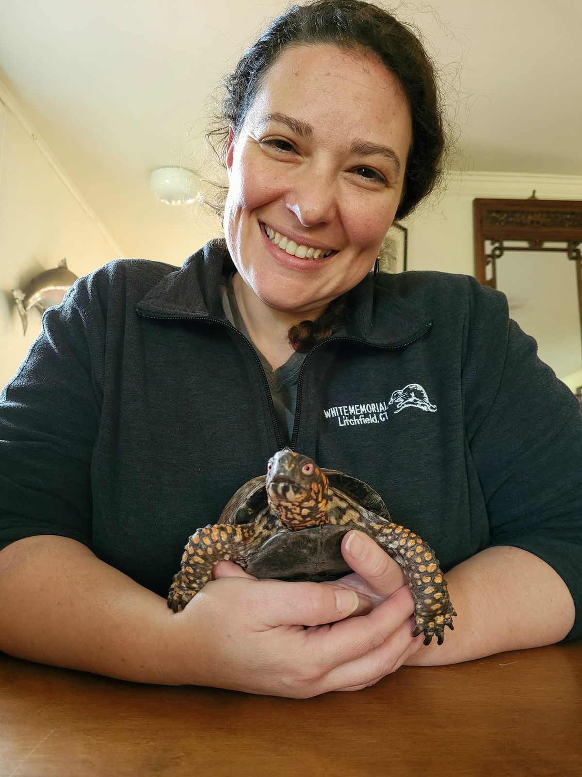 Meet Our Riveting Reptiles! with Colleen Harrak