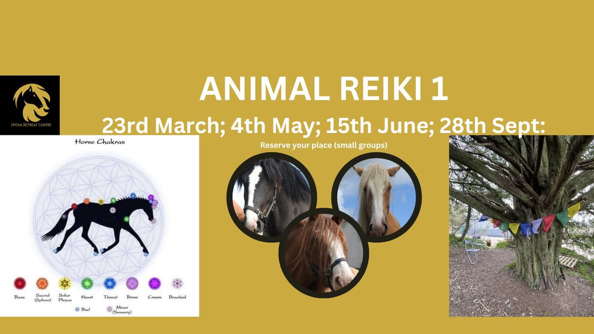 Animal Reiki Level 1 - 4th May; 15th June; 28th Sept