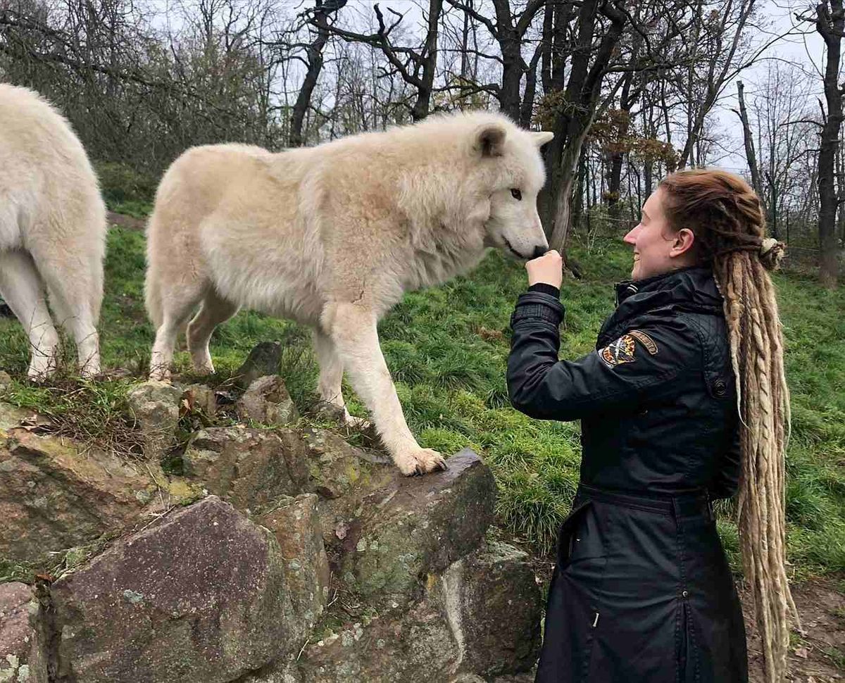 Genetik und Verhalten beim Hund