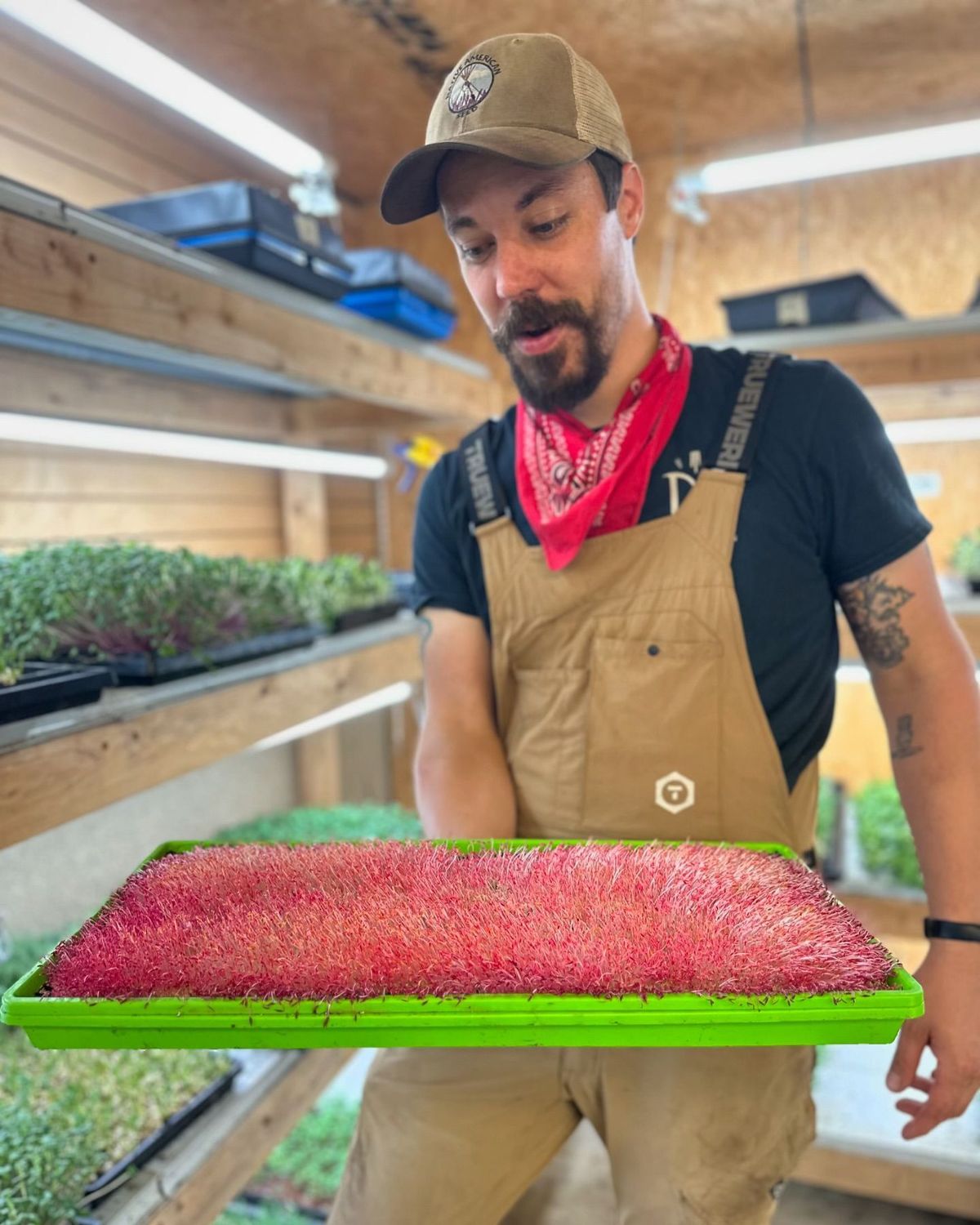 Class: Microgreens 101