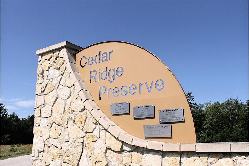 Hiking at the Cedar Ridge Preserve