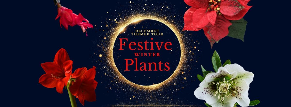 December Themed Tour: Festive Winter Plants