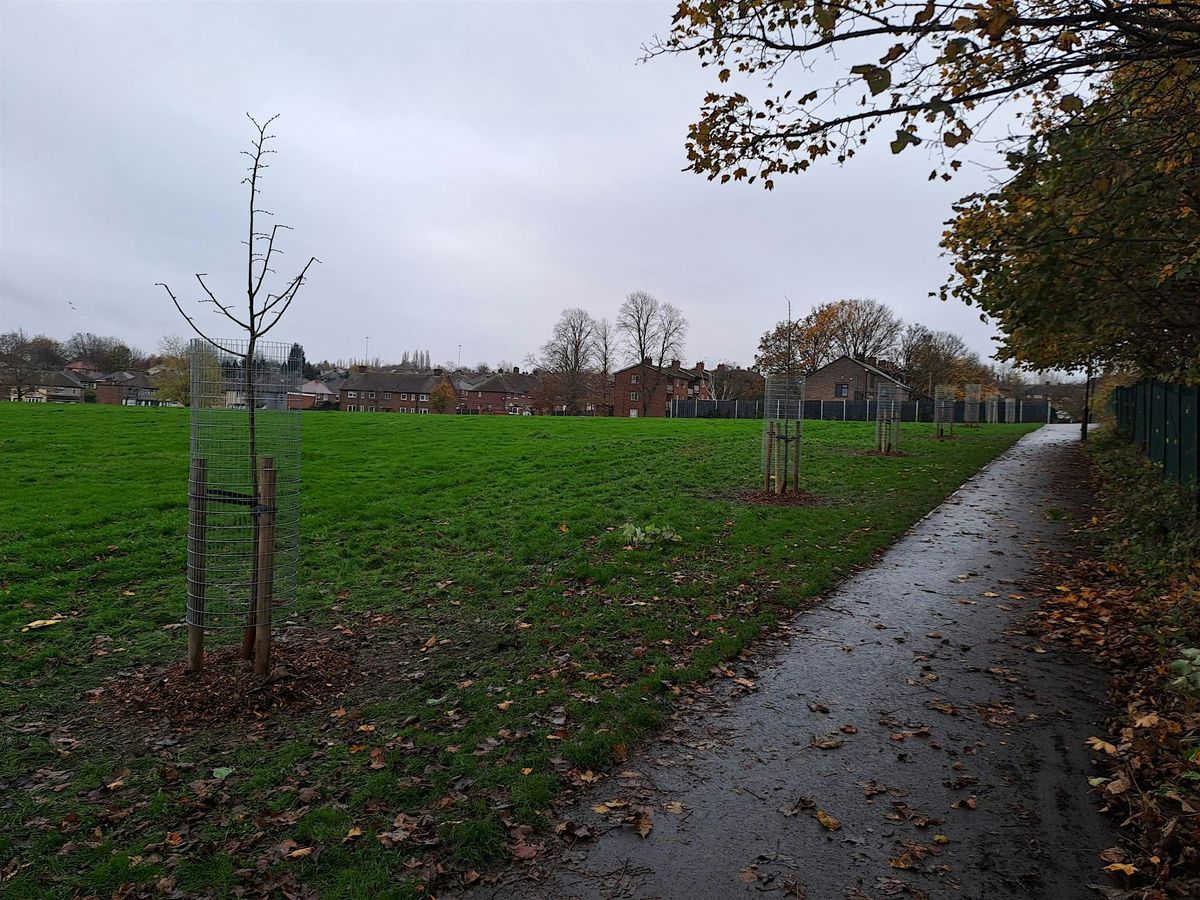 Tree Planting - Mather Rd Recreation Ground