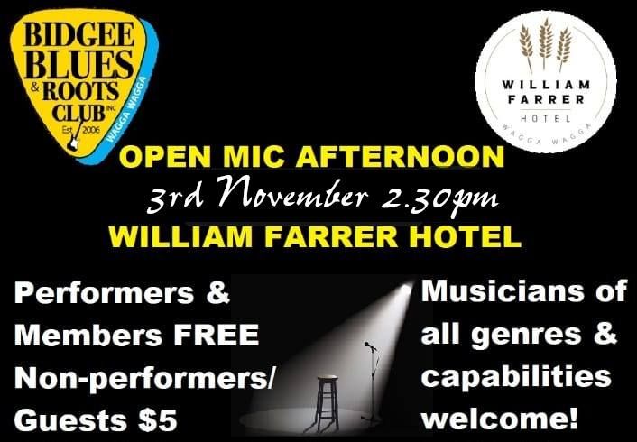 Bidgee Blues & Roots Club November Open Mic Afternoon 