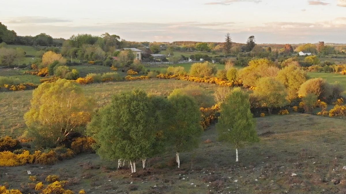 CELT Open Day - \u201cPonds, Hedgerows, Agroforestry & Woodlands - Improving Biodiversity on Your Land\u201d