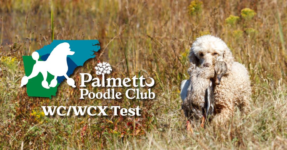 Palmetto Poodle Club Working Certificate Test