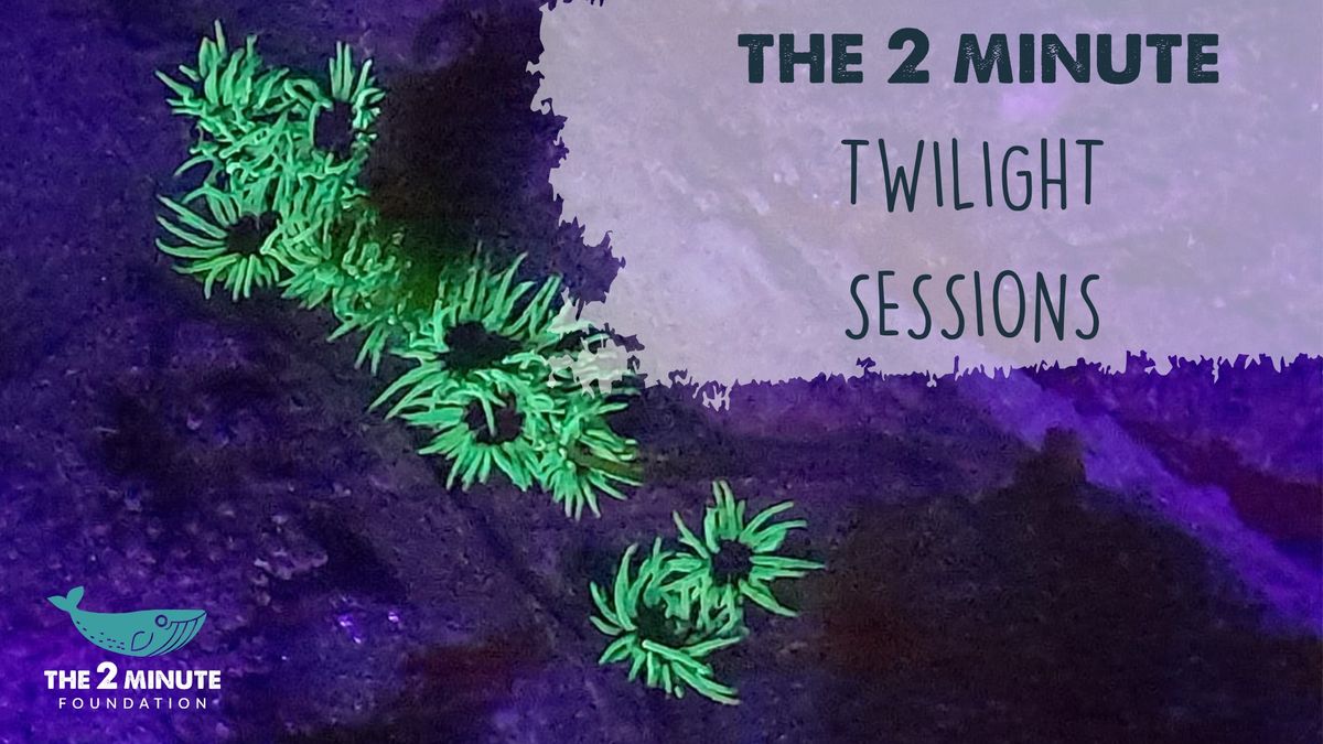 The 2 Minute Twilight Sessions - Night Rockpool