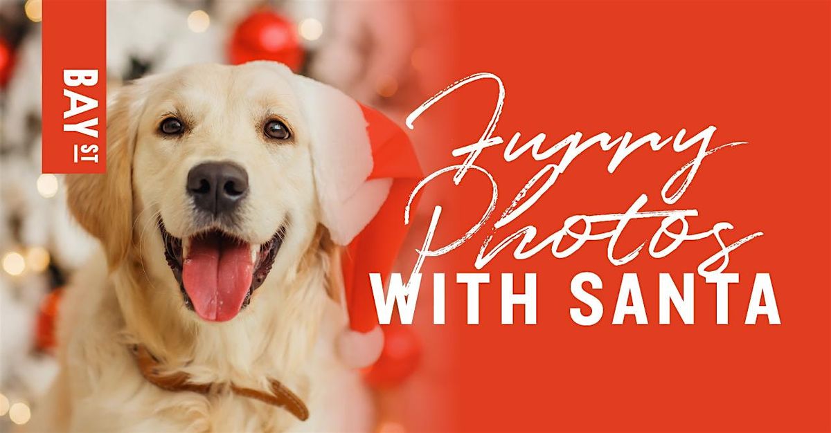 Furry Photos: Pet Photos with Santa