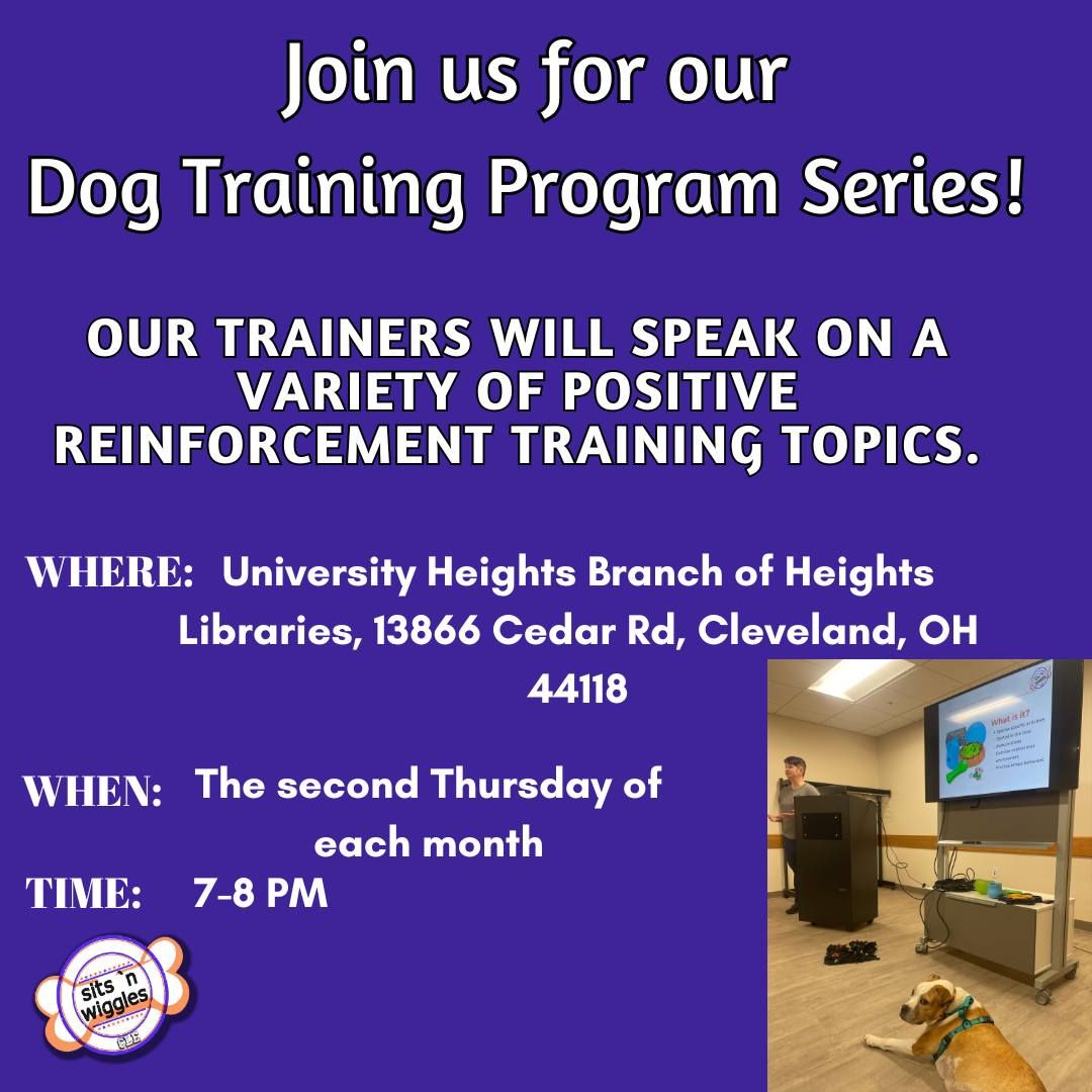 Dog Training Program Series!