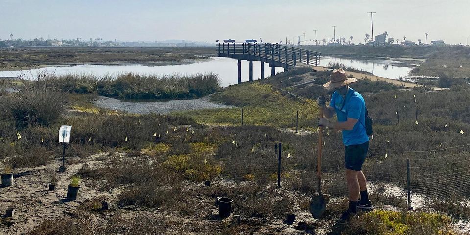 Summer 2023-Huntington Beach Wetlands Conservancy with OCH (Newland Marsh)