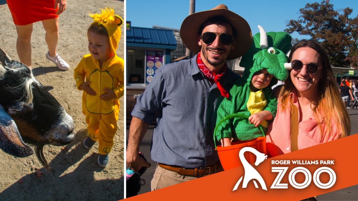 Spooky Zoo - Daytime trick-or-treating at RWPZoo