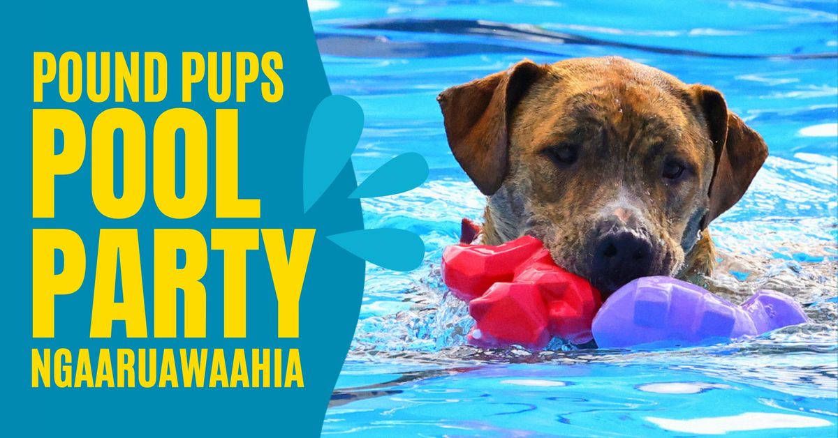 Ngaaruawaahia Pound Pups Pool Party 2025