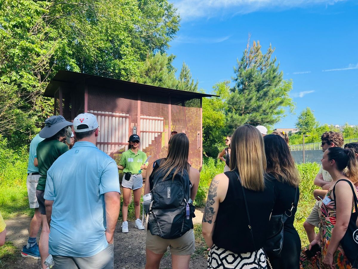 Tree Tour: Atlanta Beltline Arboretum Southwest Trail