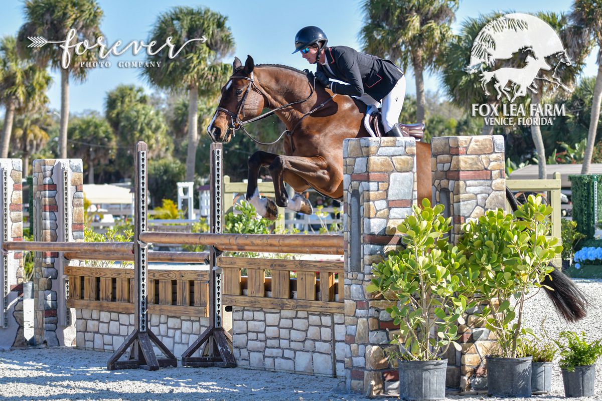 Show Jumping Under The Stars $5,000 USHJA National Hunter Derby