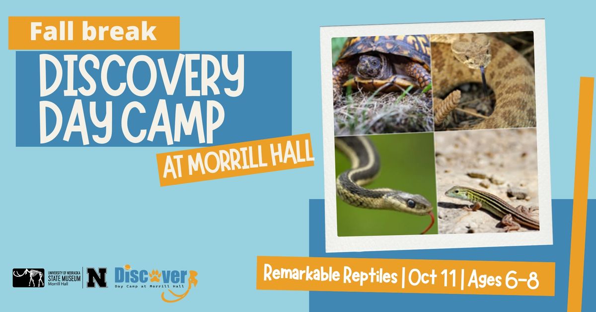 Fall Discovery Day Camp: Remarkable Reptiles