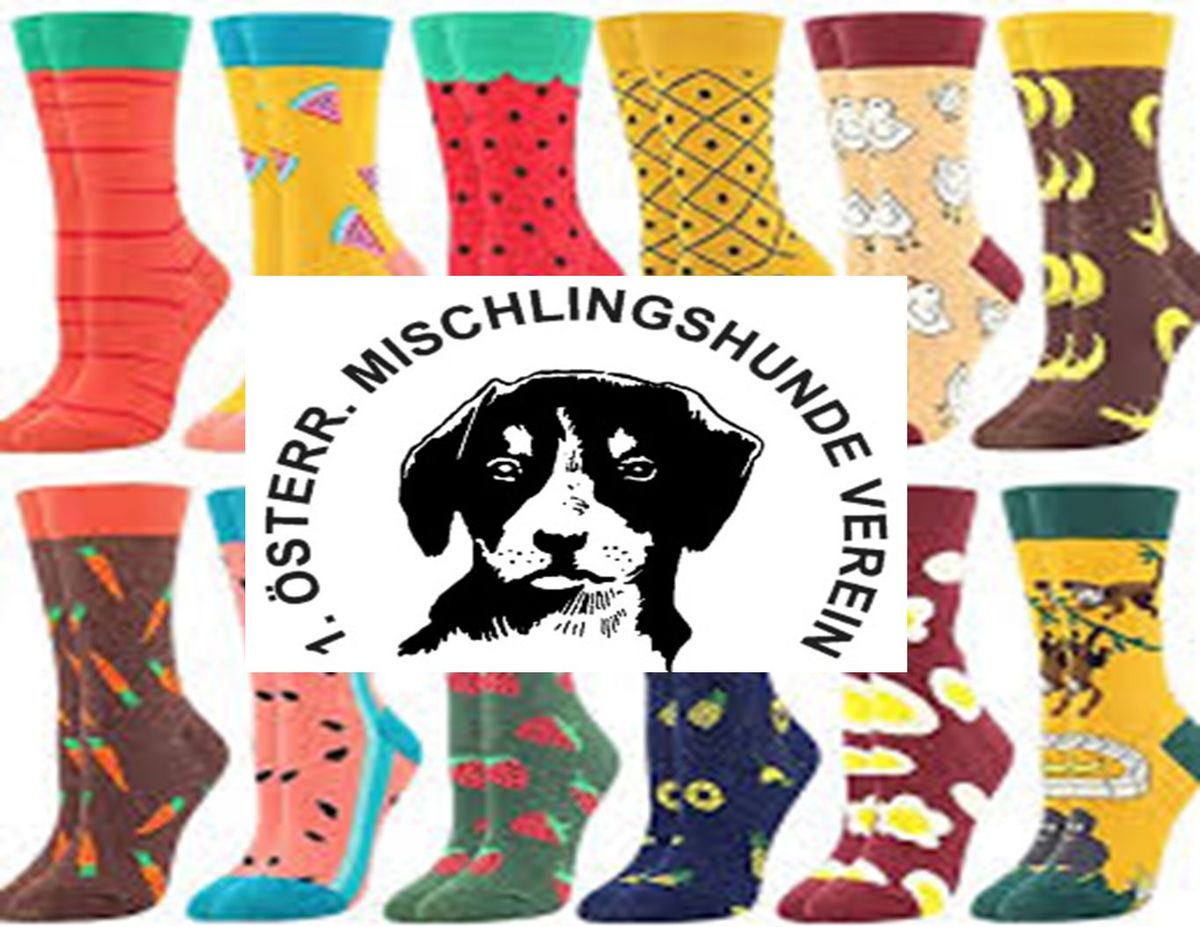 Hunderennen Bunter Socken Lauf