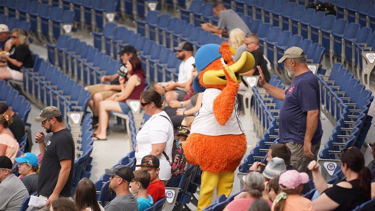 Binghamton Rumble Ponies at Akron RubberDucks at Canal Park