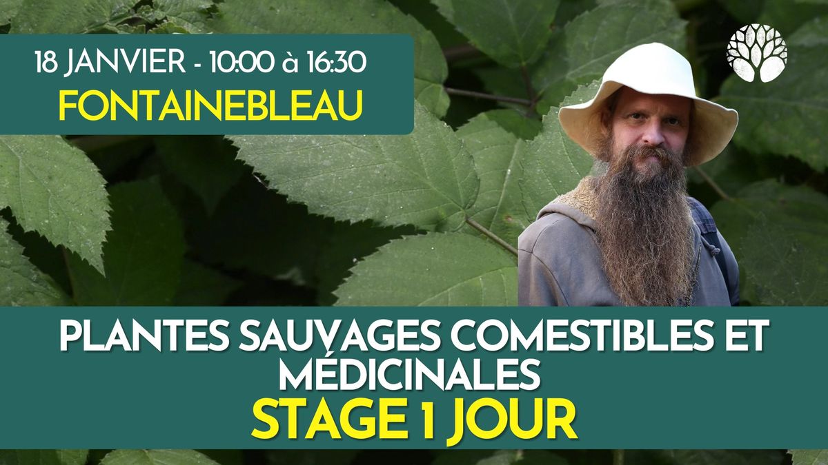 STAGE PLANTES SAUVAGES - 1 JOUR