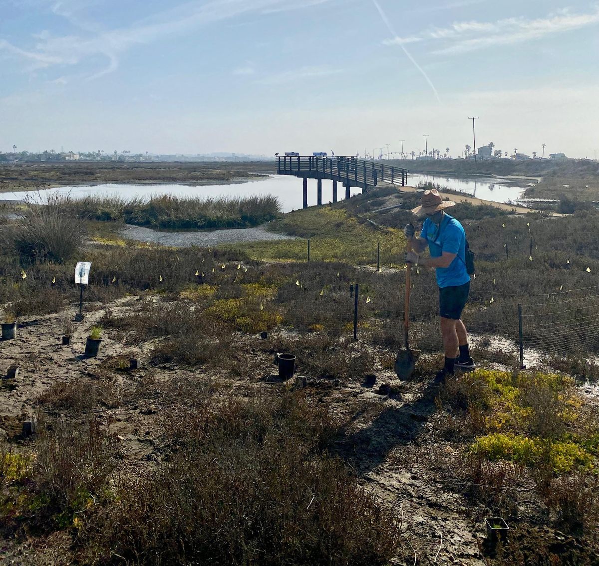 OCH Restoration at Huntington Beach Wetlands Conservancy