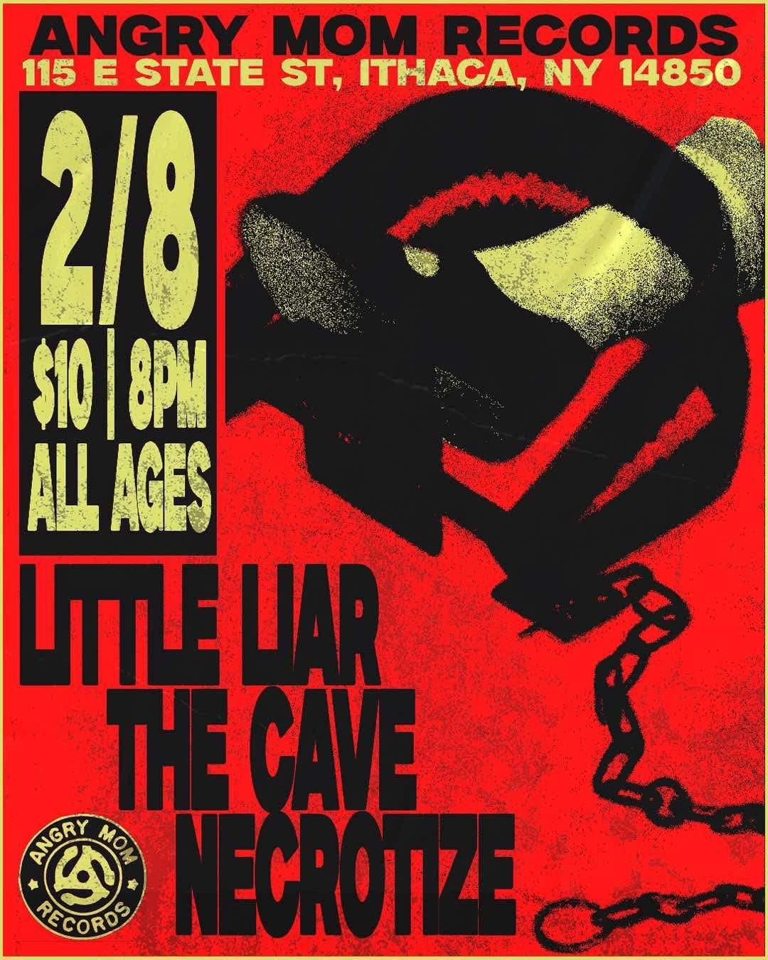 Little Liar (Buffalo) x The Cave x Necrotize @ Angry Mom Records - Ithaca NY