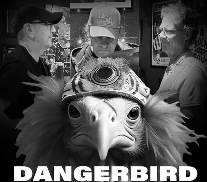 Dangerbird debut