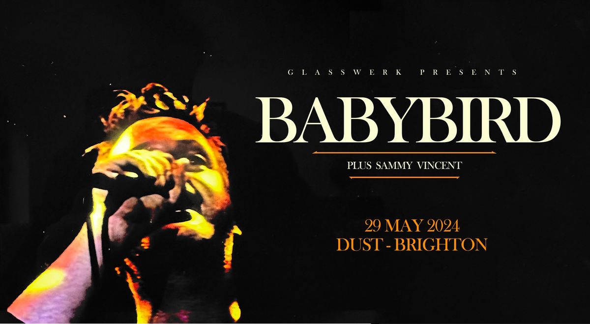 Babybird - Brighton