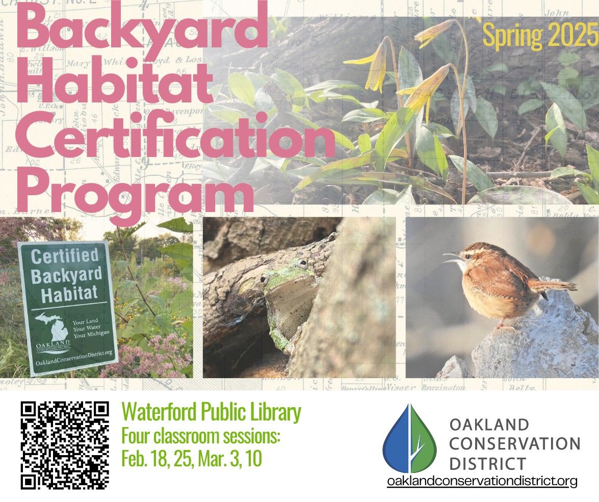 Spring 2025 Backyard Habitat Certification Program 