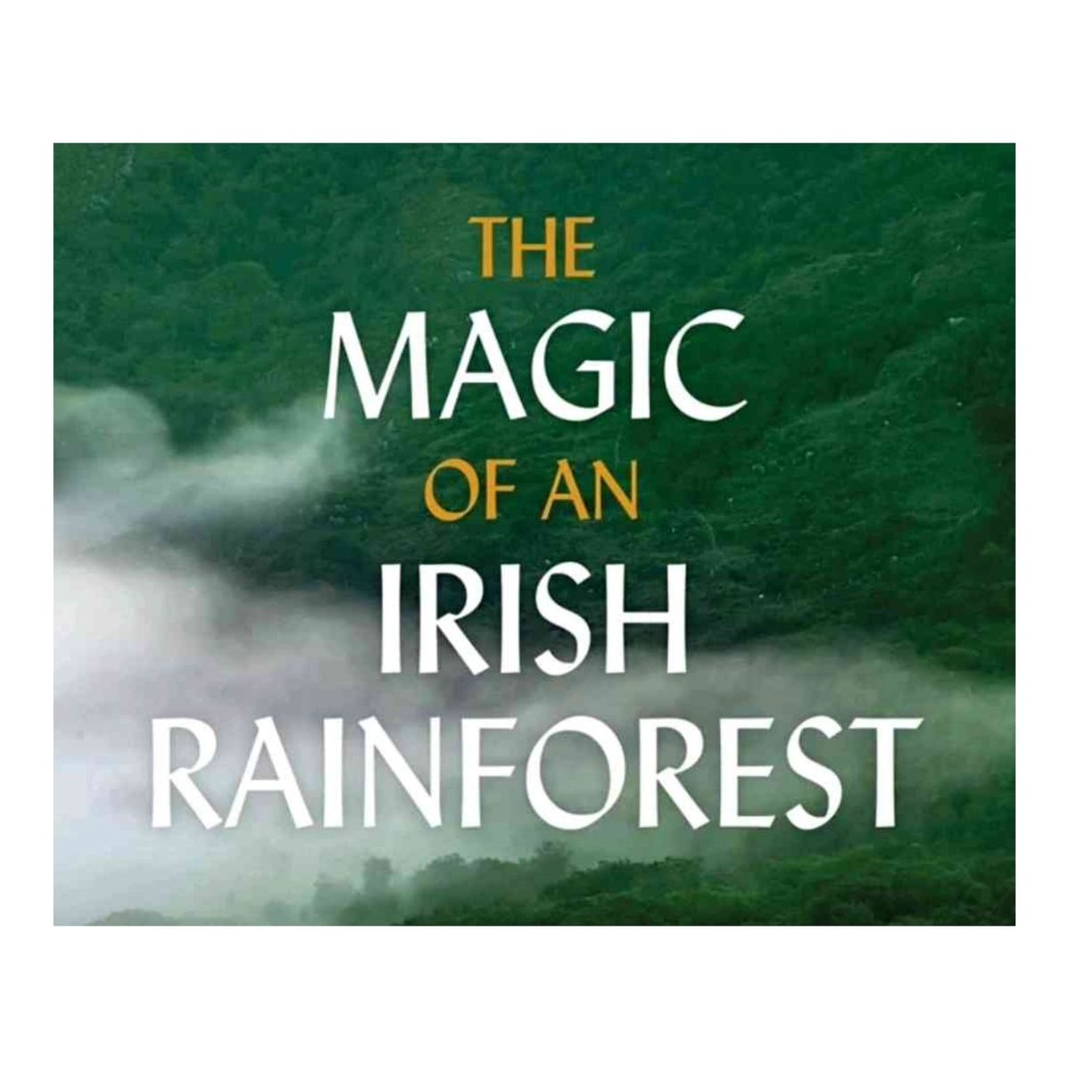 BOOK LAUNCH: 'The Magic of an Irish Rainforest' by Eoghan Daltun