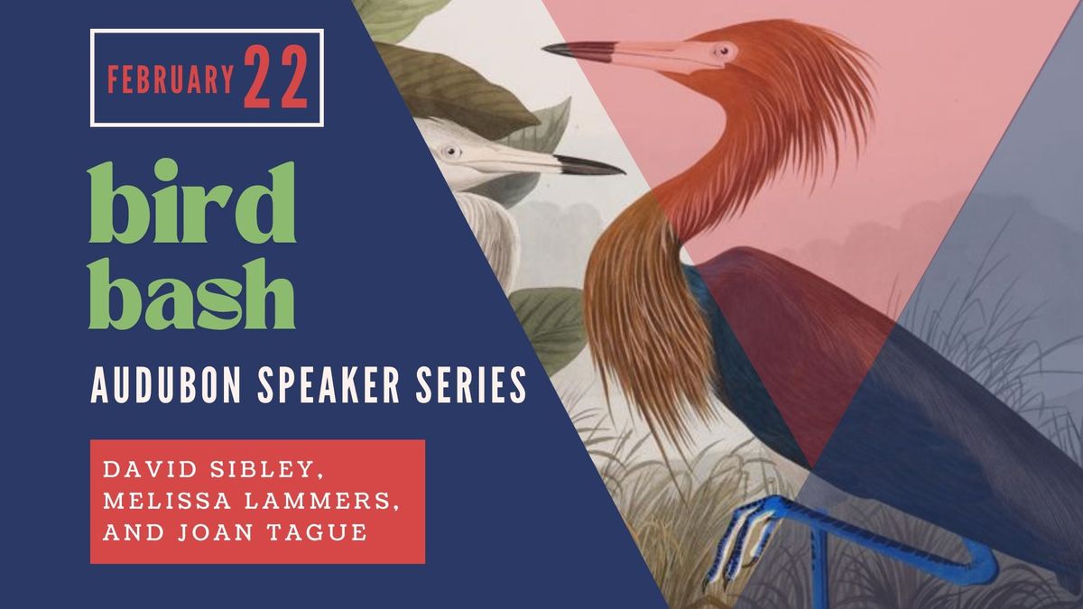 Bird Bash: Audubon Speaker Series