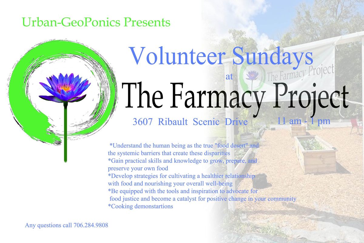 Volunteer Sundays @ The Farmacy Project