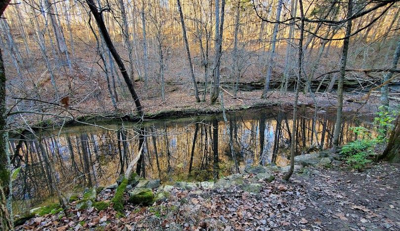 Winter Walk at Nine Penny Branch State Nature Preserve